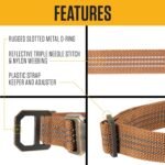 Carhartt Fully Adjustable Nylon Webbing Collars for Dogs, Reflective Stitching for Visibility - Image 3