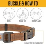 Carhartt Fully Adjustable Nylon Webbing Collars for Dogs, Reflective Stitching for Visibility - Image 4