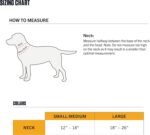 Carhartt Fully Adjustable Nylon Webbing Collars for Dogs, Reflective Stitching for Visibility - Image 7