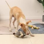 Dog Toy, Large Dog Squeaky Toys, Stuffed Animal Dog Plush Toy for Puppy, Small, Middle, Large Dogs - Image 5