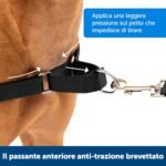 PetSafe Easy Walk Harness, No Pull Harness for Dogs, Adjustable Harness with Included Matching Lead, Black, Large - Image 4