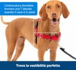 PetSafe Easy Walk Harness, No Pull Harness for Dogs, Adjustable Harness with Included Matching Lead, Black, Large - Image 7