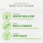 Caledon Farms, Salmon Bites - Freeze Dried, 90 g, Dog Treats - Image 6