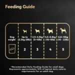 CESAR BAKIES Dog Treats, For Small Breed Adult Dogs, New York Strip Flavour, Crunchy Texture, Fun Shapes, 550g Resealable Pouch - Image 9