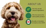 6" Thin ODOURFREE Bully Sticks (20 Pack) Dental Chew-Rawhide Free-Single Ingredient All Natural Beef chew-consistent Size-for Small Dogs-Canadian Company - Image 3