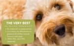 6" Thin ODOURFREE Bully Sticks (20 Pack) Dental Chew-Rawhide Free-Single Ingredient All Natural Beef chew-consistent Size-for Small Dogs-Canadian Company - Image 4