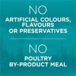 Purina ONE True Instinct Grain Free Dry Cat Food, High Protein Chicken - 6.53 kg Bag - Image 7