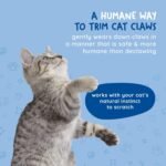 Kitty Cure Cat Nail File Scratcher, Odor-Resistant Litter Box Emery Board Scratcher Pad, No Peeling Needed, Waterproof, Non-Toxic & Long-Lasting Cat Scratcher That Files Nails - Image 8