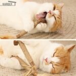 15Pcs Silvervine Sticks for Cats, Natural Cat Catnip Chew Toys for Cat Kittens Toy Teeth Cleaning, Cat Toy Matatabi Dental Care Increase Appetite Calm Cat Anxiety and Stress Aggressive Chewers - Image 7