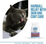 Revive Active - Feline Hairball Soft Chews 48ct - Cat Hairball Remedy, Designed Specifically for Cats That are Prone to Hairball Problems - Treats That Help Maintain a Healthy Coat. - Image 5
