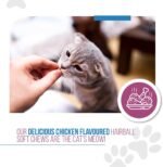 Revive Active - Feline Hairball Soft Chews 48ct - Cat Hairball Remedy, Designed Specifically for Cats That are Prone to Hairball Problems - Treats That Help Maintain a Healthy Coat. - Image 6