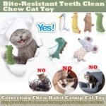 6 Pcs Catnip Toys for Cats, Catnip Cat Toys for Indoor Cats and Kitten, Soft Cat Nip Teeth Chew Toys, Interactive Cat Toy, Catnip for Cats, Small Cat Nip Toys, Plush Kitten Toys for Indoor Kittens - Image 6