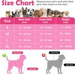 Funfox Dog Harness Small Breed, No Pull Puppy Harness with Vertical Handle, 2 Leash Clips, Reflective Strips Night Walking, Anti Pull Adjustable Pet Vest Size for Small Breed, Pink S - Image 3