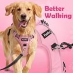 Funfox Dog Harness Small Breed, No Pull Puppy Harness with Vertical Handle, 2 Leash Clips, Reflective Strips Night Walking, Anti Pull Adjustable Pet Vest Size for Small Breed, Pink S - Image 4