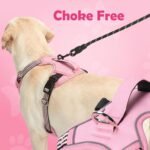 Funfox Dog Harness Small Breed, No Pull Puppy Harness with Vertical Handle, 2 Leash Clips, Reflective Strips Night Walking, Anti Pull Adjustable Pet Vest Size for Small Breed, Pink S - Image 5
