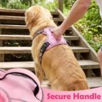 Funfox Dog Harness Small Breed, No Pull Puppy Harness with Vertical Handle, 2 Leash Clips, Reflective Strips Night Walking, Anti Pull Adjustable Pet Vest Size for Small Breed, Pink S - Image 6