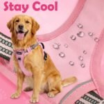 Funfox Dog Harness Small Breed, No Pull Puppy Harness with Vertical Handle, 2 Leash Clips, Reflective Strips Night Walking, Anti Pull Adjustable Pet Vest Size for Small Breed, Pink S - Image 7