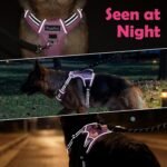 Funfox Dog Harness Small Breed, No Pull Puppy Harness with Vertical Handle, 2 Leash Clips, Reflective Strips Night Walking, Anti Pull Adjustable Pet Vest Size for Small Breed, Pink S - Image 9