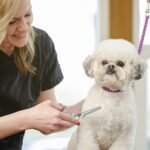 GEMEK Pet Grooming Scissors Set 4 Pieces Stainless Steel Pet Trimmer Kit Used for Dog Cat and More Pets - with 7.5-inch Cutting Scissors, Thinning Shear, Curved Scissors, Grooming Comb - Image 9