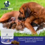 Dog Prenatal Vitamins with Folic Acid, Zinc and Calcium - Prenatal Vitamins for Dogs, 90 Soft Chews - Pregnant Dog Essentials for Milk Production, Proper Fetal Development - Chicken Flavor - Image 3