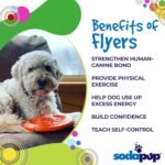 SodaPup Bottle Top – Durable Flyer Retrieving Toy Made in USA from Non-Toxic, Pet-Safe, Food Safe Natural Rubber for Bonding, Exercise, Training, More - Image 5