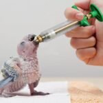 Syringe for Food - Baby Birds Feeding Injector Kit with Soft Hose and Spoons,Accurate Scale Pet Hand Rearing Feeding Injector Tubes for Cockatiel, Budgie, Parrot - Image 3