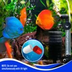 Biological Booster Aquarium Cleaner. Fish Tank Water Cleaner. Makes Water Healthier, Reduces Nitrites & Ammonia for Happy Fish & Less Cleaning. Aquarium Supplies for Tank Filter, Glass Cleaning - Image 6