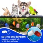 Biological Booster Aquarium Cleaner. Fish Tank Water Cleaner. Makes Water Healthier, Reduces Nitrites & Ammonia for Happy Fish & Less Cleaning. Aquarium Supplies for Tank Filter, Glass Cleaning - Image 8
