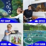 Biological Booster Aquarium Cleaner. Fish Tank Water Cleaner. Makes Water Healthier, Reduces Nitrites & Ammonia for Happy Fish & Less Cleaning. Aquarium Supplies for Tank Filter, Glass Cleaning - Image 9