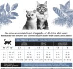 Dry Cat Food 1.4 kg - Duck Recipe Grain Free - No Corn or Soy - Protein Rich - Kitten Food - Adult Cat Food by Lily & Jax - Image 5