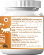 UT Balance+ Urinary Cat Supplement | Cranberry, Probiotics & Chicken Protein | Prevents UTIs, Supports Muscle Health & Promotes Wellness -70 Days Supply. Veterinary Health Product: NN.N8B6. - Image 4