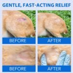 Hot Spot Treatment for Dogs, Natural Plant Extract Formula Gentle Wound Spray, Relieve Dry Skin, Scratching, Rashes, Redness, Swelling and Bites. Gentle Pet Hot Spot Spray for Dog & cat 4 Fl Oz - Image 4