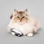 Cat Toys | Plush Toy Arctic Hare Cat Toys for Indoor Cats | Eco Friendly Toy Made from Non Toxic Materials - Image 4
