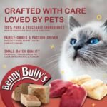 Benny Bullys Plus Whitefish & Beef Liver Cat Treats - High Protein, Grain Free, Balanced Nutrition for Cats - Natural Snack with No Fillers, Preservatives, or Artificial Additives - 25g/ 0.9oz (Entry) - Image 8