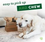 Benebone 4-Pack Durable Dog Chew Toys for Aggressive Chewers, Real Flavors, Made in USA, Medium - Image 3