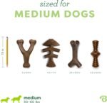 Benebone 4-Pack Durable Dog Chew Toys for Aggressive Chewers, Real Flavors, Made in USA, Medium - Image 5