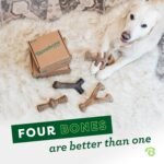 Benebone 4-Pack Durable Dog Chew Toys for Aggressive Chewers, Real Flavors, Made in USA, Medium - Image 6