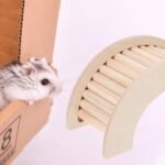 Toyvian Hamster Climbing Ladder Hideout Wooden Loft Platform Cage with C-Shaped Arch Natural Small Animal - Image 4