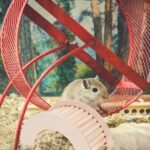 Toyvian Hamster Climbing Ladder Hideout Wooden Loft Platform Cage with C-Shaped Arch Natural Small Animal - Image 5