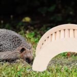 Toyvian Hamster Climbing Ladder Hideout Wooden Loft Platform Cage with C-Shaped Arch Natural Small Animal - Image 6