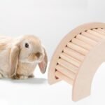 Toyvian Hamster Climbing Ladder Hideout Wooden Loft Platform Cage with C-Shaped Arch Natural Small Animal - Image 7