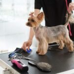 5 Pack Pet Dog Cat Flea Comb Tear Eye Stain Remover Combs, Hair Brush Effectively Clean Removes Tangles, Dirt, Fleas, Lice, Ticks, for Pets Hair Comb - Image 6