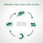 Advantage II Flea Treatment for Small Dogs weighing less than 4.5 kg (less than 10 lbs.)-2 doses - Image 5