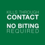 Advantage II Flea Treatment for Small Dogs weighing less than 4.5 kg (less than 10 lbs.)-2 doses - Image 6