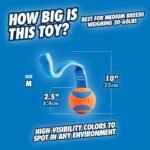 Chuckit! Medium Ultra Tug - Image 5