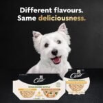 CESAR Wholesome Bowls Wet Dog Food – Chicken, Carrots, Barley & Green Beans - Beef, Chicken, Carrots & Purple Potato, 6x85g Variety Pack - Image 4