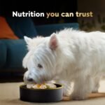 CESAR Wholesome Bowls Wet Dog Food – Chicken, Carrots, Barley & Green Beans - Beef, Chicken, Carrots & Purple Potato, 6x85g Variety Pack - Image 6