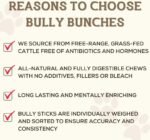 Bully Bunches Beef Jerky Strips - All-Natural Dental Chews For Dogs Of All Ages | Fully Digestible & Soft on teeth -Made From Single Ingredient Beef Esophagus/Gullet -Proudly Canadian(6 Inch, 16 Pack) - Image 6