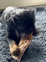 Bully Bunches Beef Jerky Strips - All-Natural Dental Chews For Dogs Of All Ages | Fully Digestible & Soft on teeth -Made From Single Ingredient Beef Esophagus/Gullet -Proudly Canadian(6 Inch, 16 Pack) - Image 9