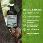 Organic Mushroom Extract – Reishi, Chaga, Shiitake, Maitake, Lion’s Mane – Immune System & Energy Booster - Anti-Inflammatory - 250ml - Vegan - Made in Canada - Image 3